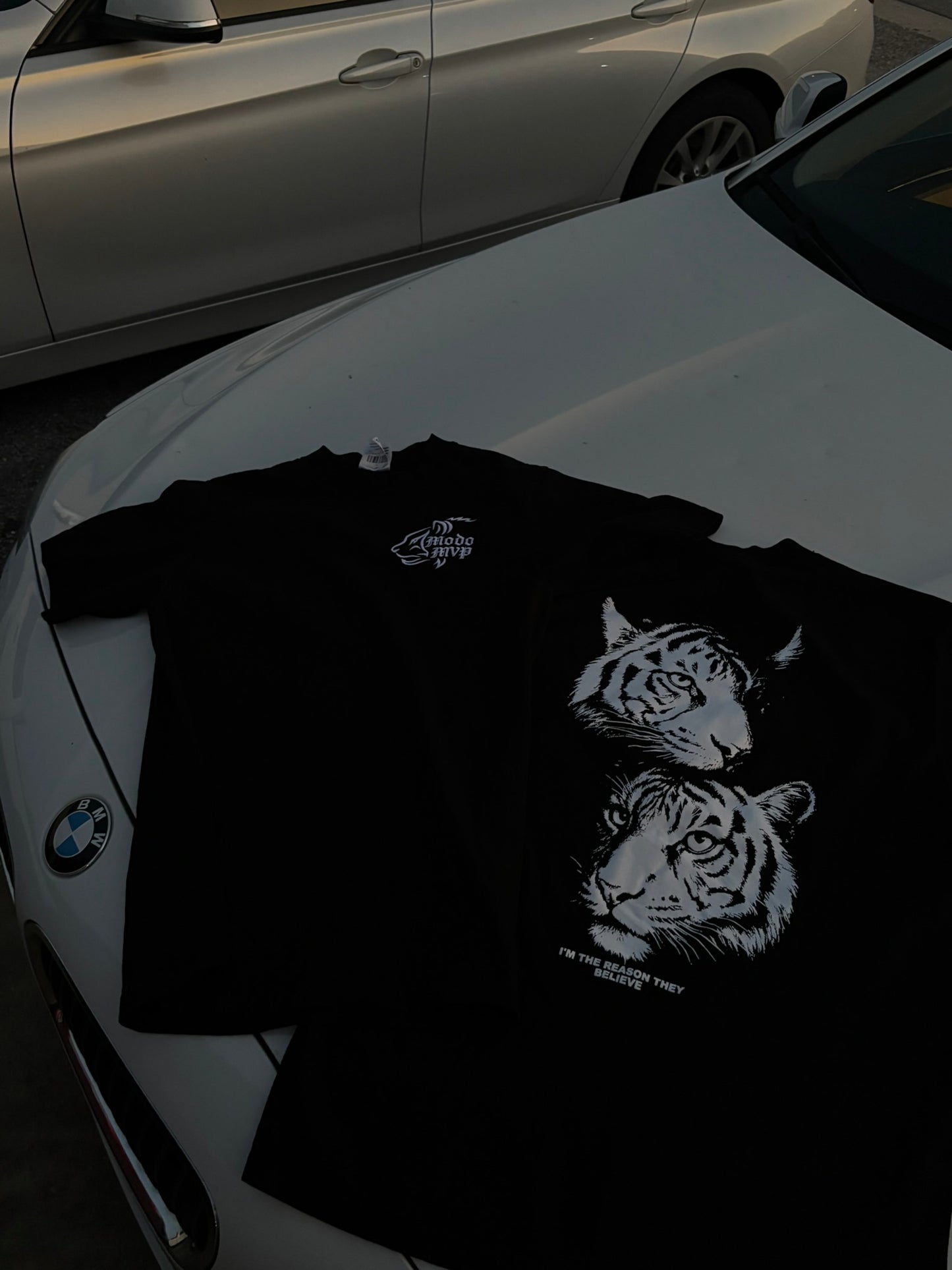 TIGR tee